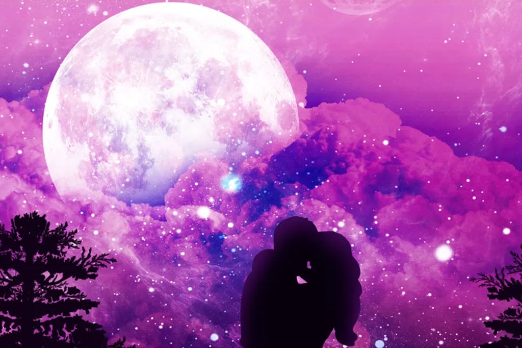 Silhouette ein Paar verliebt auf einem Hintergrund ein abendlicher Himmel, romantisch eine Raumlandschaft mit dunkler Natur, Gras und dichten Bäumen Äste, ein Zauber ein violetter Abend unter den Sternen.